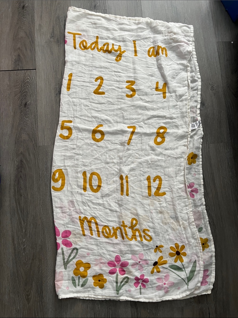 Gerber Floral and Cream Baby Age 1 to 12-month Milestone Blanket